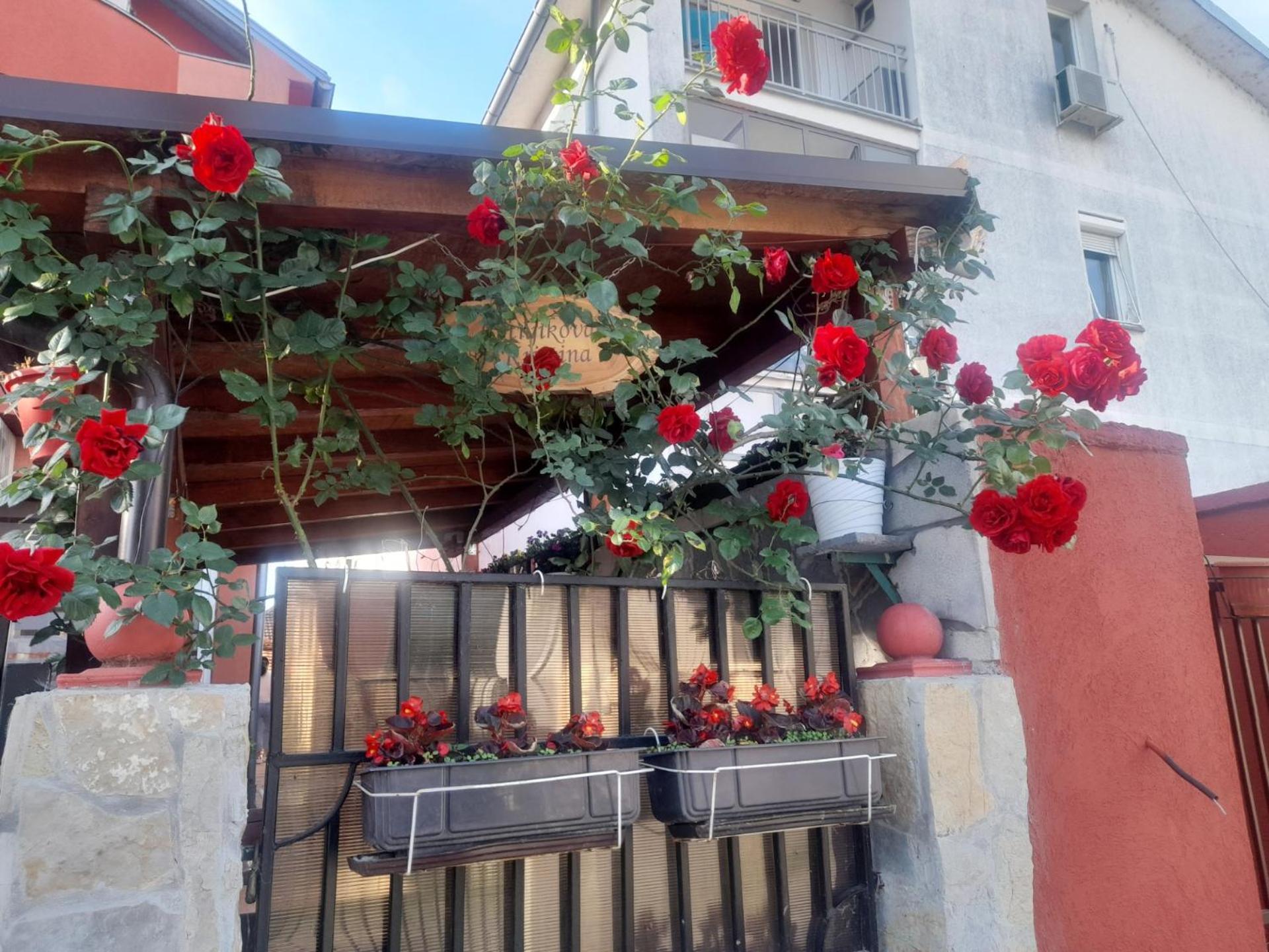 Guest House Mirijevski Konak Belgrad Zewnętrze zdjęcie