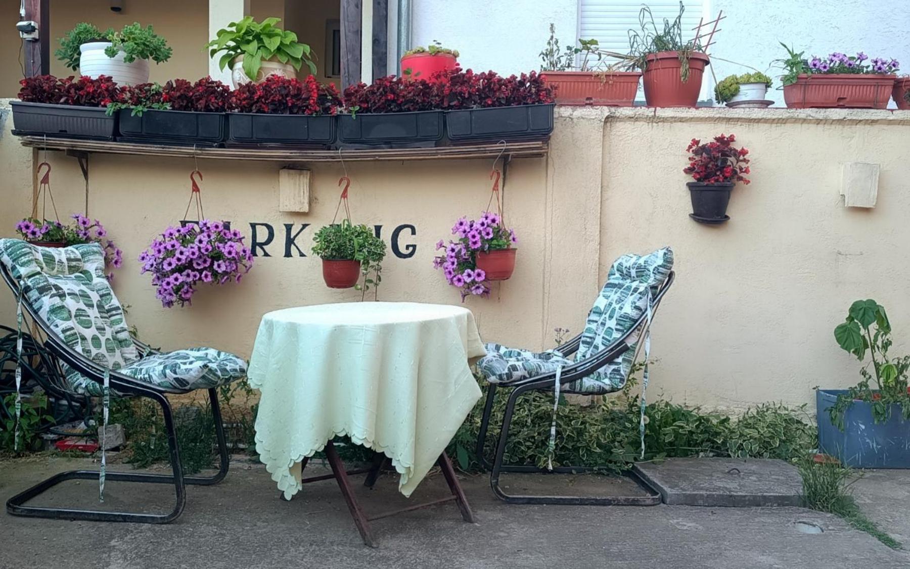 Guest House Mirijevski Konak Belgrad Zewnętrze zdjęcie